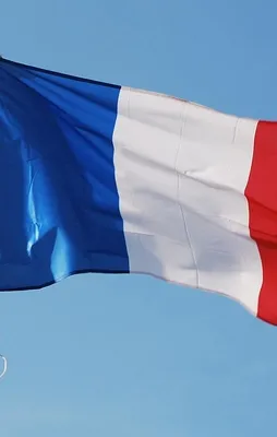 200'den fazla Fransız terörist öldürüldü