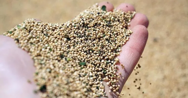 Kinoanın faydaları nelerdir?