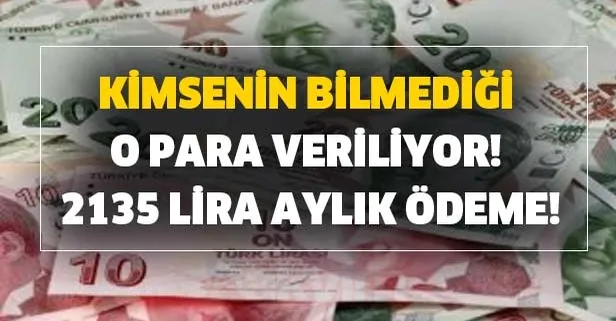 Kimsenin bilmediği o para! 2135 lira aylık ödeme!