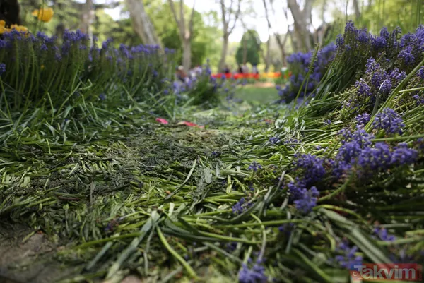 İstanbul Gülhane Parkı 10 katı ziyaretçi ağırladı! Laleler talan edildi - 21