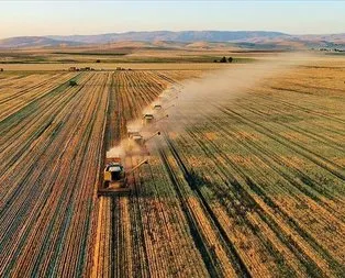 212 ülkeye tarım ürünü ihraç ettik