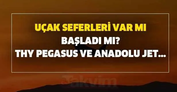 Thy Pegasus Ve Anadolu Jet Sehirler Arasi Ucus Yapacak Mi Ucak Seferleri Var Mi Basladi Mi Takvim