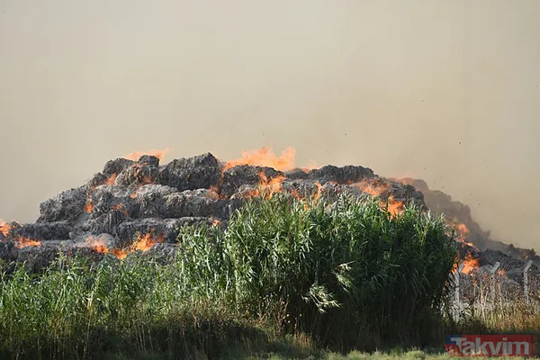 Aydın'da kağıt fabrikasındaki yangın yeniden kontrolden çıktı: Havadan ve karadan müdahale sürüyor - 14