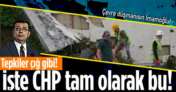 CHP'li İBB Başkanı Ekrem İmamoğlu yine dikey bahçe katliamında! Vatandaştan sert tepki!-1