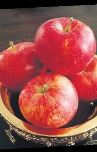 Niğde elması destekleniyor