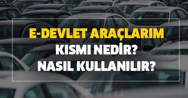 e devlet araclarim kismi nedir nasil