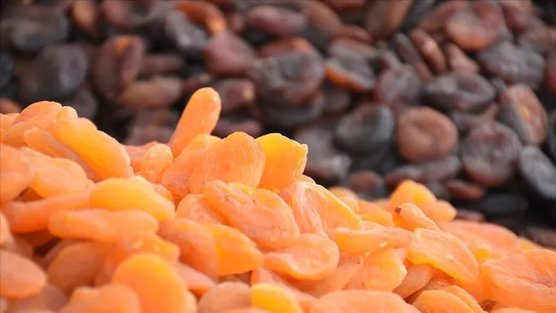 60-yasinda-20lik-cilt-genclik-sirri-bu-kurde-sakli-saracoglu-paylasti-1733405489972.jpg Sadece 3 malzeme! İbrahim Saraçoğlu paylaştı; Gençleştiren doğal kür-3