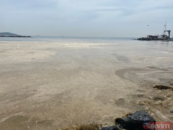 İstanbul Fenerbahçe Sahili deniz salyası kaplandı - 10