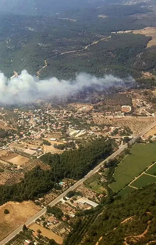Son dakika: İzmir'de Menderes'te korkutan orman yangını!