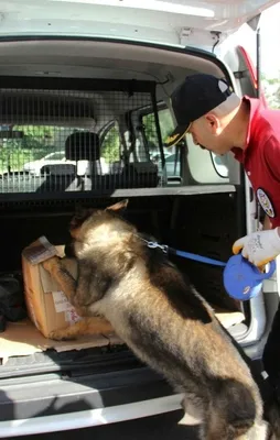 81 ilde "Narko Sokak 2" operasyonu