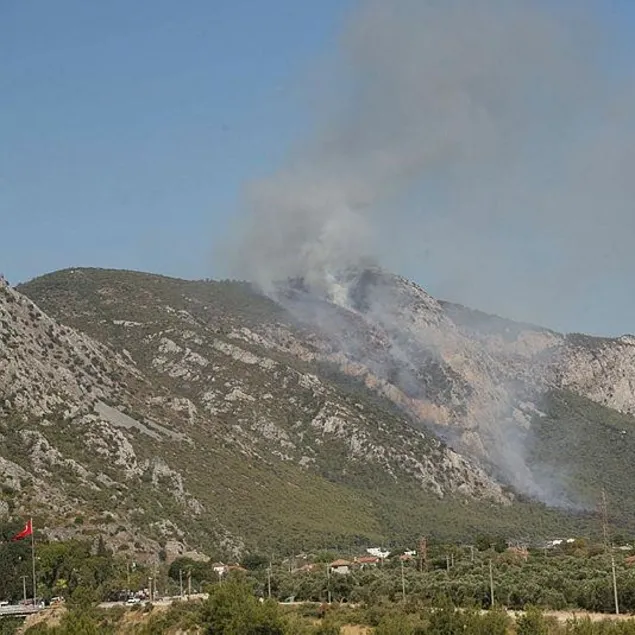 Milas’ta orman yangını!