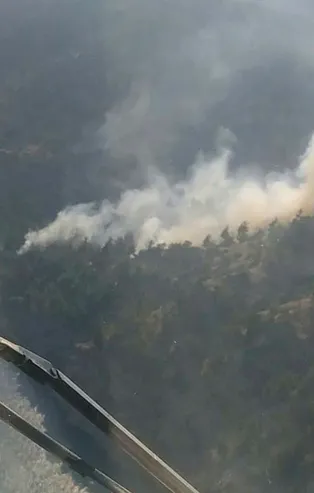 Orman yangınında 1 hektar alan zarar gördü