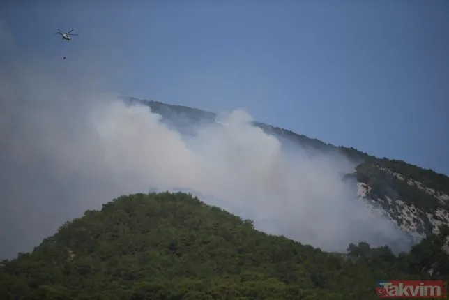 SON DAKİKA: Kazdağları'nda orman yangını! Havadan ve karadan müdahale başladı