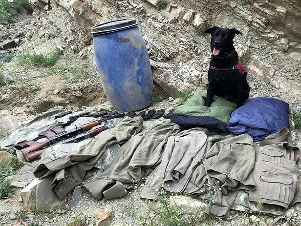 Son dakika haberi: Van'da terör operasyonu: Silah ve mühimmat ele geçirildi-3