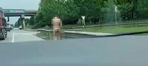 Kocaeli’de iğrenç görüntler