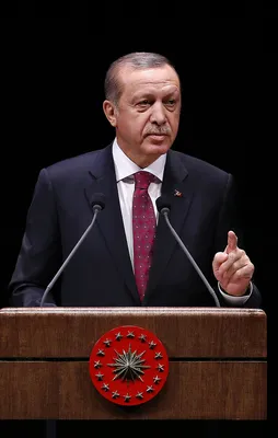 Erdoğan'dan önemli açıklamalar