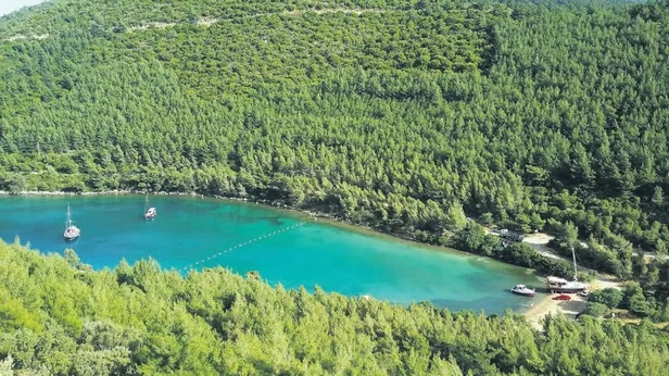 Bodrum, kazık sezonunu açtı! Yeni gündem tonoz mafyası-3