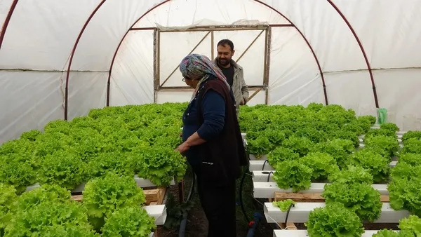 en-az-28-bin-tl-kazanmak-mumkun-istanbulda-memurluktan-istifa-eden-suleyman-dal-adana-kozanda-topraksiz-marul-1643630559204.jpg En az 28 bin TL kazanmak mümkün! İstanbul'da memurluktan istifa eden Süleyman Dal Adana Kozan'da topraksız marul üretimine başladı-9