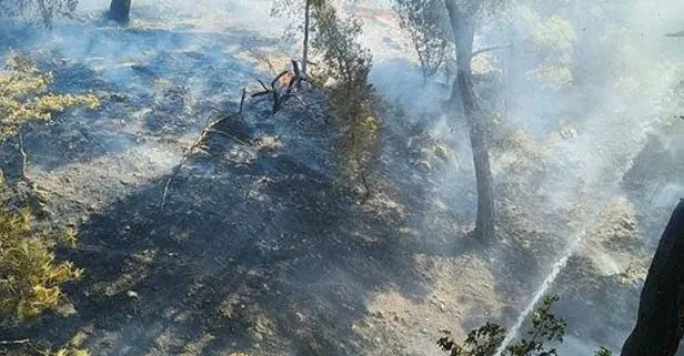 5 ilde orman yangını! Balıkesir, Adana, Kahramanmaraş, İzmir  ve Edirne’de son durum ne?