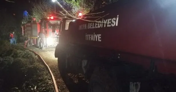 Artvin’in Kemalpaşa ilçesinde çıkan orman yangını 4 saat sonra kontrol altına alındı
