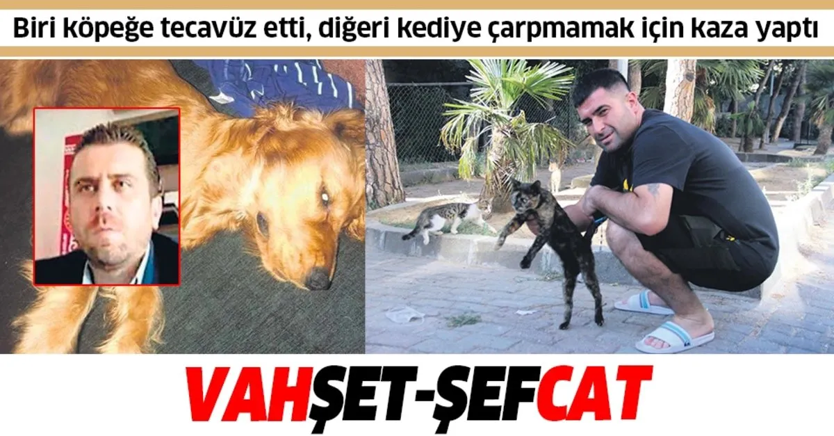 takvim gazetesi