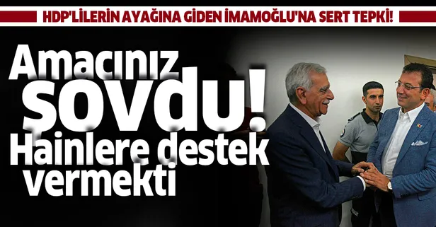 HDP'lilerin ayağına giden Ekrem İmamoğlu'na sert tepki: Amacınız şovdu, hainlere destek vermekti