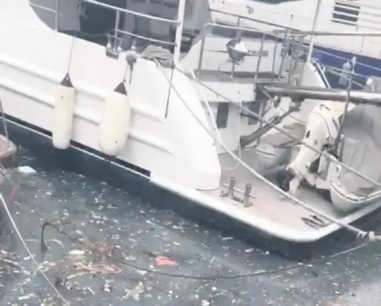 ‘Arnavutköy’ün haline bak’