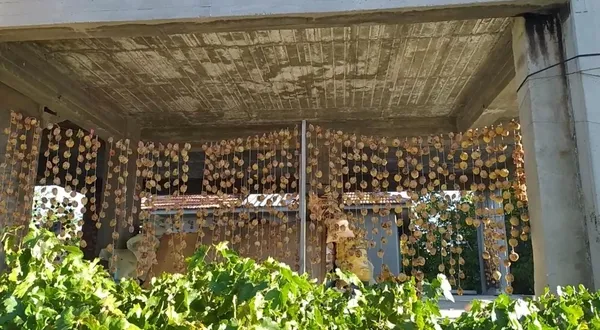 hirsiz-ham-olarak-caldigi-trabzon-hurmalarini-satmak-yerine-evine-goturup-isledi-1634365542795.jpg Denizli’de olay operasyon! Hırsız, ham olarak çaldığı Trabzon hurmalarını satmak yerine evine götürüp işledi-6