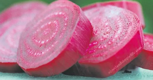 Kirmizi Pancar Ve 5 Mucizevi Faydasi Mahmure