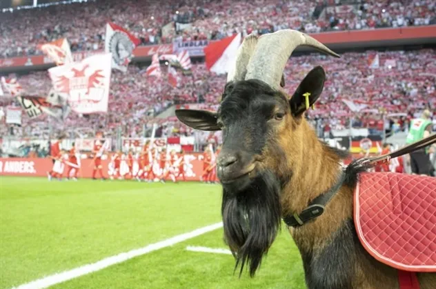 Almanya Bundesliga Ruhr derbisi ile başlıyor! İşte Bundesliga'da son puan durumu