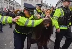 İngiltere katil İsrail'i nasıl savunacağını şaşırdı! Londra polisinden pes dedirten uygulama: Filistin destekçilerini ihbar edin