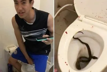 Tuvalette cinsel organını yılan kaptı