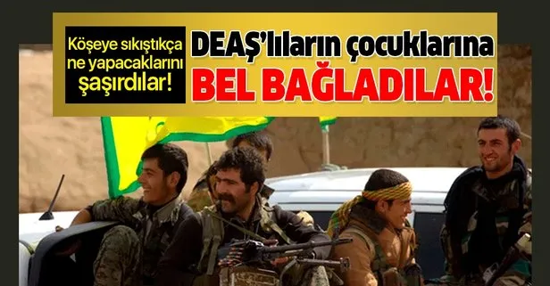 Terör örgütü YPG DEAŞ’lıların çocuklarını silahlandırıp terör eylemlerinde kullanacak!