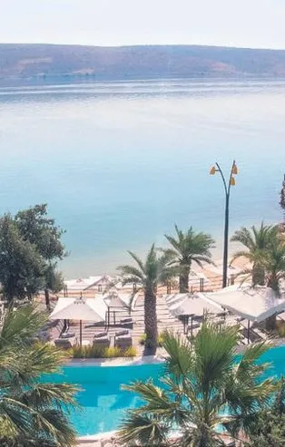 Alaçatı’daki lüks bir otelin servisi sokak köpeğine çarpıp ölüme terk etti! Göksun Çam sosyal medyadan isyan etti