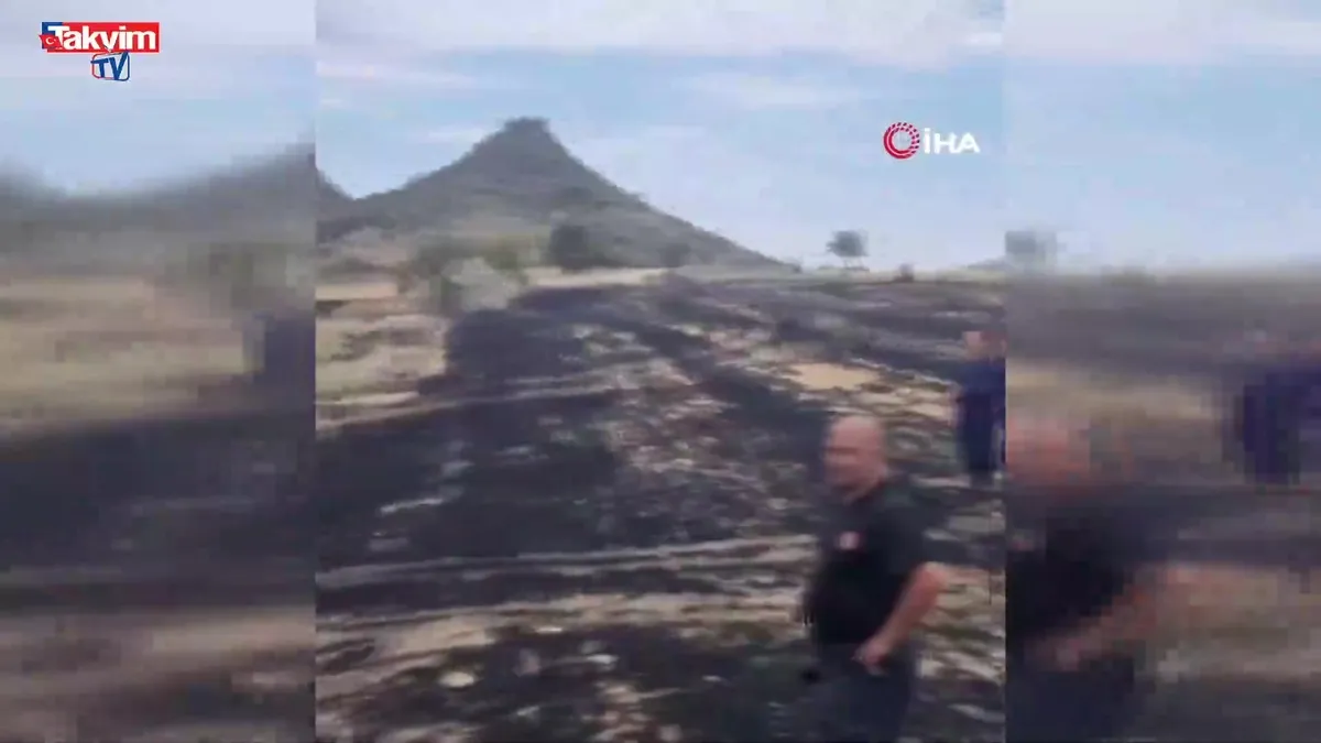 Konya’da anız yangını ormana sıçradı