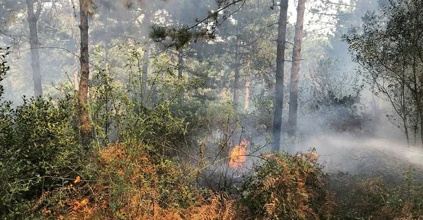 Aydos Ormanları'nda yangın!