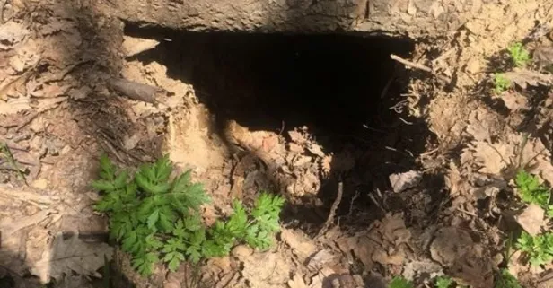 Tunceli'de PKK'ya büyük darbe-1