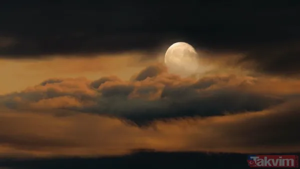 Boğa 💠Boğa Burcu, Pratiklik Ve Maddi Güvence Arayışıyla Tanınsa Da, Ay Bu Burçta "Yüceldiği" İçin Özel Bir Anlam Kazanır. Ay, Boğa'da Kendini Güçlü, Huzurlu Ve...