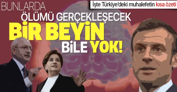 Türkiye’deki muhalefete sert eleştiri: Ölümü gerçekleşecek bir beyin bile yok