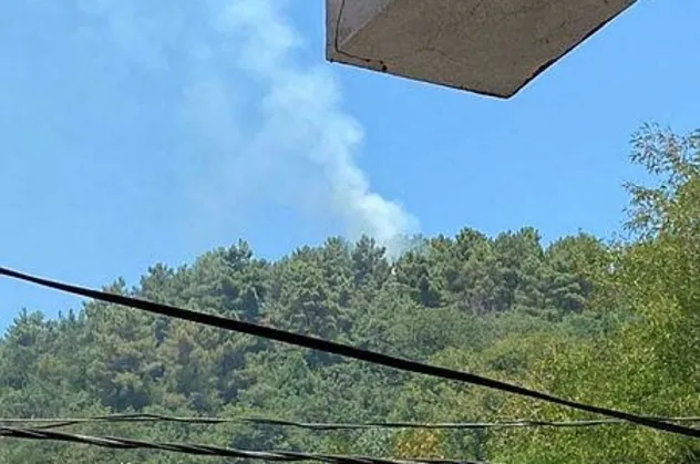 Son dakika: İstanbul Beykoz'da ormanlık alanda yangın: "3 kişi geldi, kaçarken gördük"