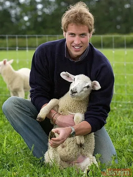 Kate Middleton videosu deepfake mi yapay zeka mı? Kanser açıklaması iddialara son vermedi! Didik didik incelediler: Yedi yıl önce de aynı kazağı giymişti - 26