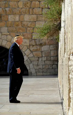 Donald Trump'tan skandal Kudüs kararı