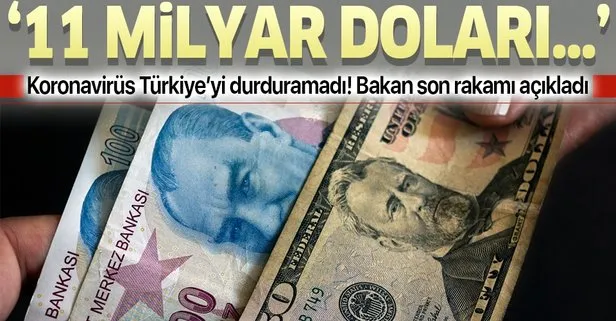 Bakan son durumu açıkladı: 11 milyar doları aşarız