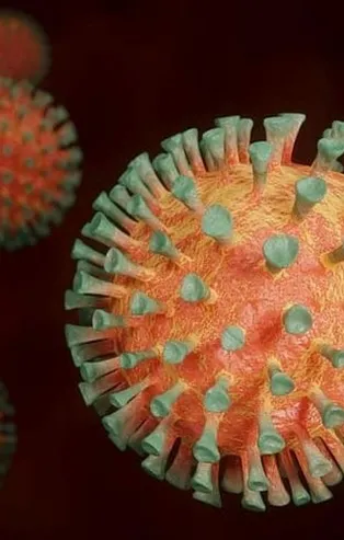 Bilim insanları ilk kez açıkladı! Koronavirüs gıdada mutasyona mı uğradı?