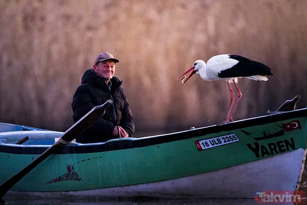 Yaren Leylek geldi: 14 yıl oldu! Yine Adem Yılmaz'ın kayığına kondu - 2