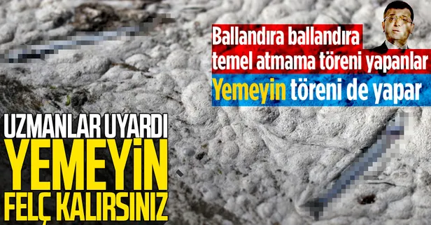 SON DAKİKA: Marmara Denizi müsilajla (deniz salyası) kaplandı! Uzmanlar uyardı: Midye yemeyin felç kalabilirsiniz