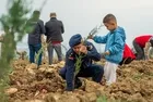 "Milli Ağaçlandırma Günü"nde fidanlar toprakla buluştu