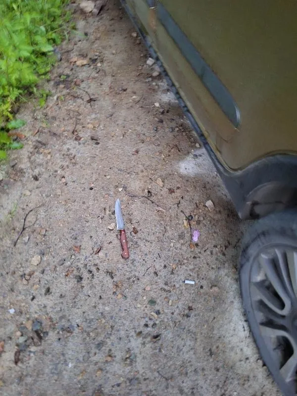 trabzonda-sok-olay-taksi-yayla-yolunda-terk-edilmis-surucu-ise-10-kilometre-mesafede-olu-bulundu-1688116639370.jpeg Trabzon'da şok olay! Taksi yayla yolunda terk edilmiş, sürücü ise 10 kilometre mesafede ölü bulundu-1