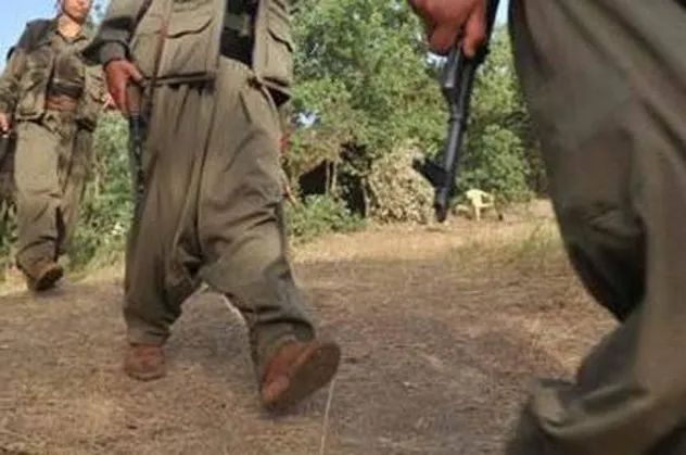 Son dakika: Van’da 1 terörist yakalandı