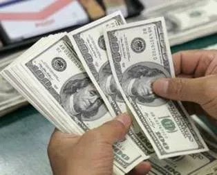 Vatandaş dövizciye koştu